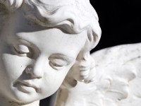 Suspendisse arcu nisl