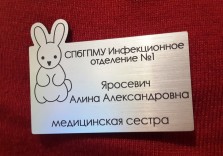 Бейдж из пластика. Graflux L-226. 70х50мм