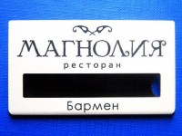 Пластиковый бейдж 70х35мм