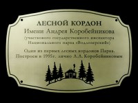 Табличка памятная 450х300х8мм. Гравировка, патинирование